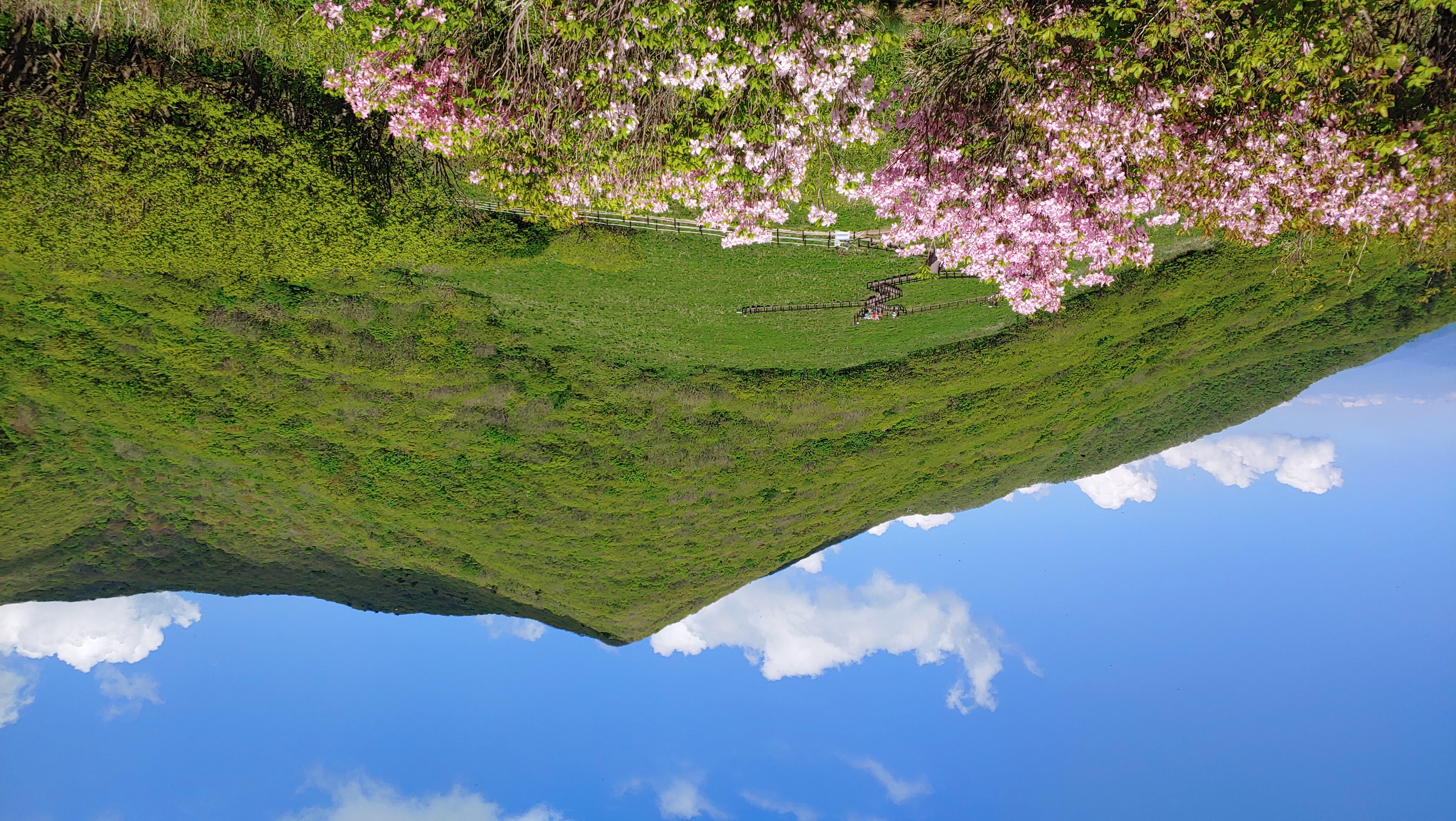 Gombaeryung, Gangwon-do, South Korea