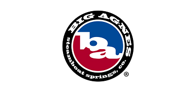 빅아그네스 로고