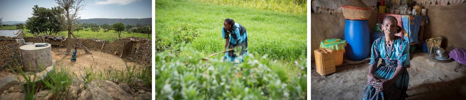 ▲ 사진 : 에티오피아 데브레체헤이(Debretsehay) 마을 농부 지맘 걸메이(Zimam Girmay)씨가 R4 계획을 통해 기후변화를 대비한 농작기술을 배우고, 지붕에 물을 저장할 수 있는 탱크를 설치하여 경작을 지속하고 있는 모습